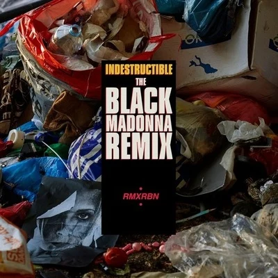 Robyn/The Black Madonna Indestructible (The Black Madonna Remix)