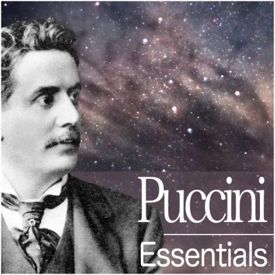 Various Artists/Plácido Domingo/Orchestre national de France/Munich Radio Orchestra/Yutaka Sado/PHILHARMONIA ORCHESTRA Puccini Essentials