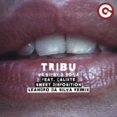 Tribù/Vijay & Sofia Sweet Disposition (Leandro Da Silva Remix)