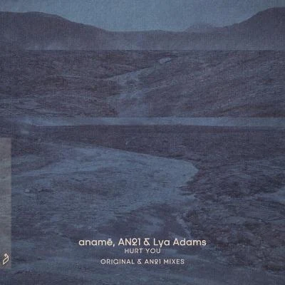 AN21/Lya Adams/Anamé hurt you (origin Alan21 mixes)