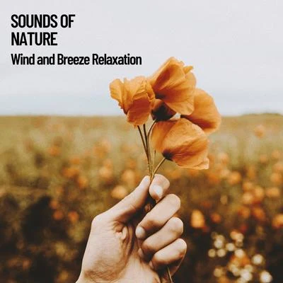 Rest & Relax Nature Sounds Artists Sounds of Nature: Wind and Breeze Relaxation