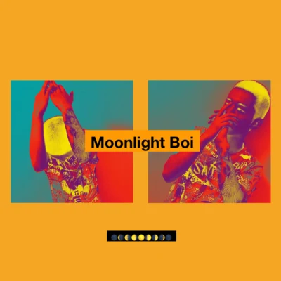 泥鰍Zinco Moonlight Boi