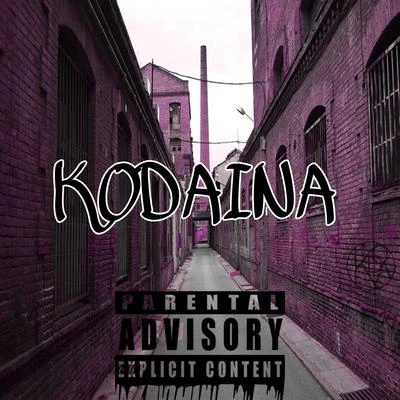 Koda Kodaina