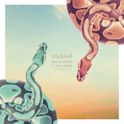 Ayla Nereo/The Polish Ambassador/Wildlight Snakecharmer