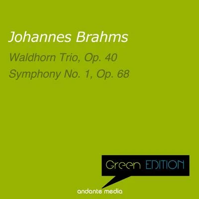 Alfred Scholz/Günter Ludwig/Dieter Vorholz/Erich Penzel/Munich Symphony Orchestra green edition - Brahms: Wald horn trio, op. 40 symphony no. 1, op. 68