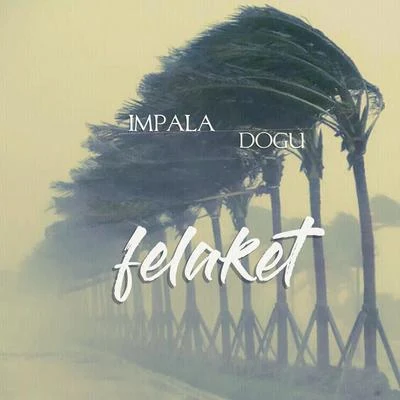 Impala Felaket