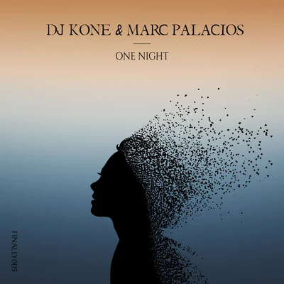 Dj Kone One Night