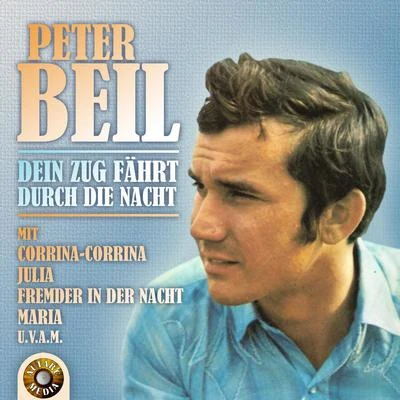 Peter Beil Dein Zug fährt durch die Nacht