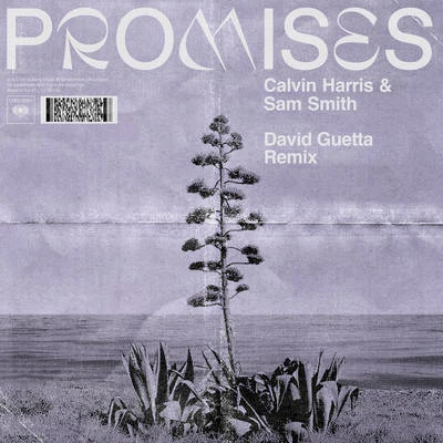 Sam Smith/David Guetta/Calvin Harris Promises (David Guetta Extended Remix)