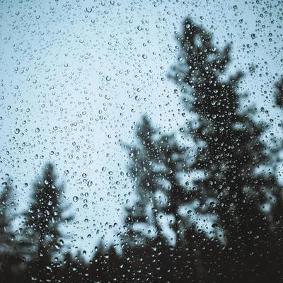 Rain Sounds For Sleep Light Tropical Showers