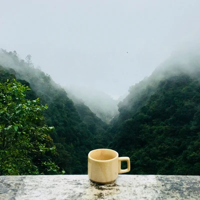 Sounds Of Nature : Thunderstorm/Relaxed Minds/The Rain Library Soothing Study Sounds