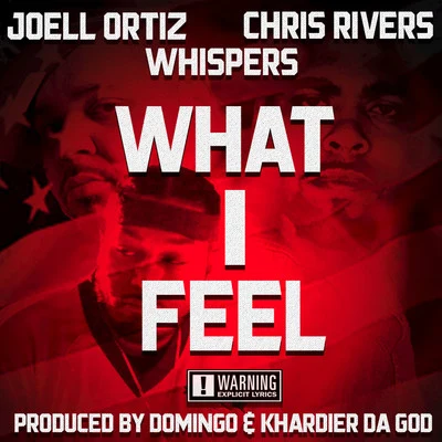 Joell Ortiz What I Feel