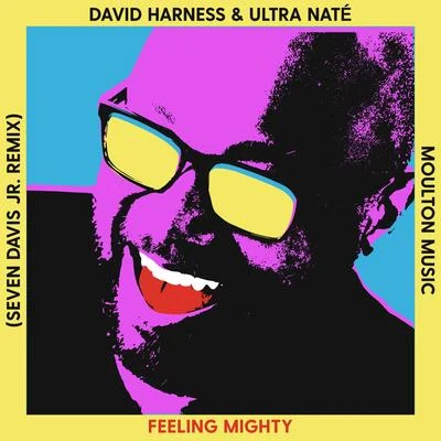 Ultra Naté/David Harness Feeling Mighty