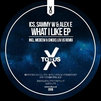 Sammy W & Alex E What I Like EP