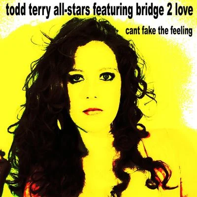 Todd Terry/Bridget Barkan/Bridge 2 Love/Todd Terry All Stars Can't Fake the Feeling