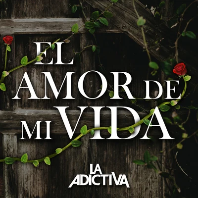 La Adictiva Banda San José de Mesillas El Amor de Mi Vida