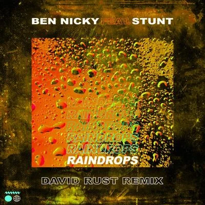 Ben Nicky Raindrops (David Rust Remix)