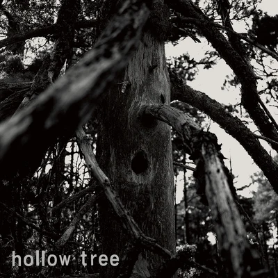 Mr. Tophat/Hollow Tree/Jockum Nordström Hollow Tree