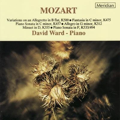 David Ward Mozart: Piano Music