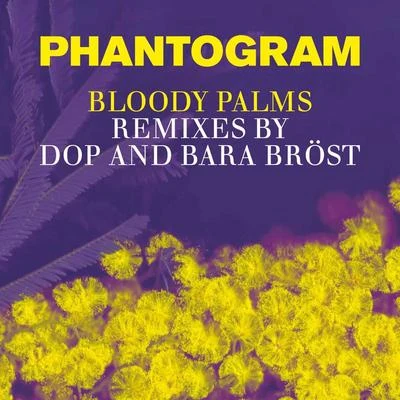 Phantogram Bloody Palms (Remixes by dOP and Bara Bröst)