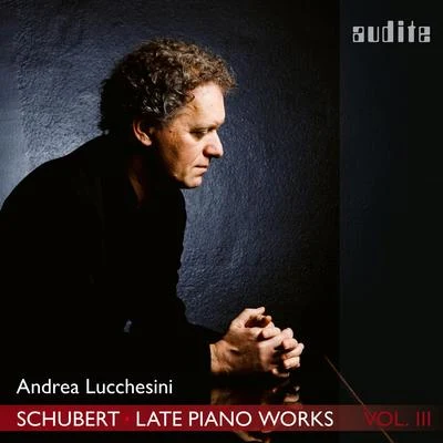 Andrea Lucchesini Schubert: Allegretto from Piano Sonata No. 18, D. 894 Fantasia