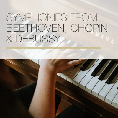 Jorg Demus/Friedrich Gulda Symphonies from Beethoven, Chopin and Debussy