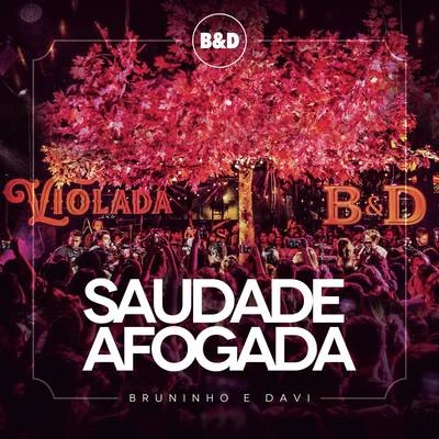 Bruninho &amp; Davi Saudade Afogada (Ao Vivo)