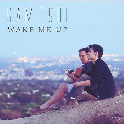 Sam Tsui Wake Me Up (Acoustic Version)