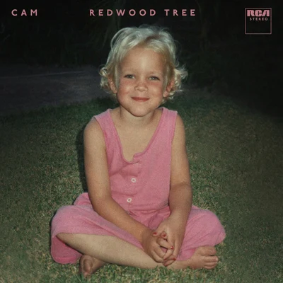 Cam Redwood Tree