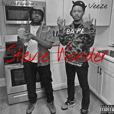 JayyDaBapeGod/Veeze Stevie Wonder (feat. Veeze)