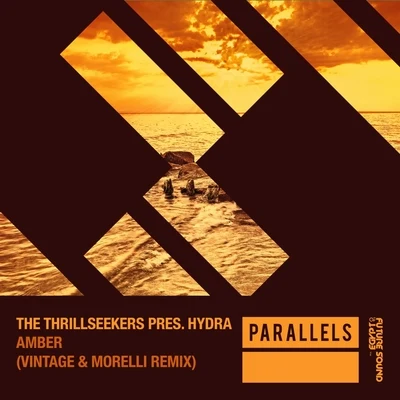 The Thrillseekers Amber (Vintage & Morelli Remixes)