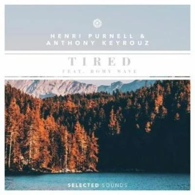 Henri Purnell Tired