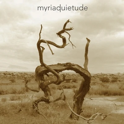 Myriad quietude