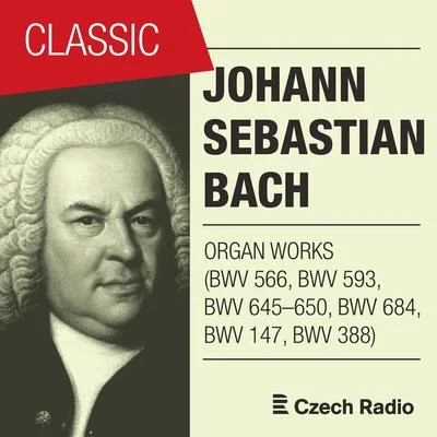 Aleš Bárta J. S. Bach: Organ Works