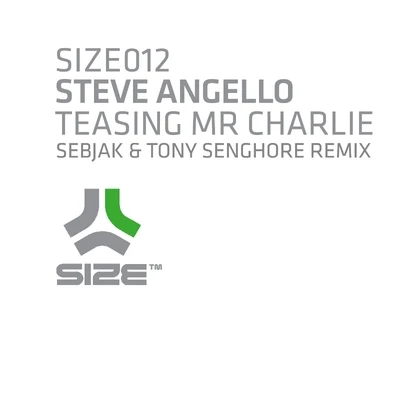 Steve Angello Teasing Mr Charlie (Sebjak & Tony Senghore Remix)