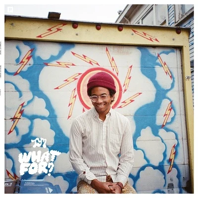 Toro y Moi What For?