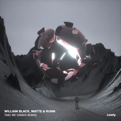 Snavs/William Black Take Me (Snavs Remix)