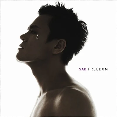 朴振荣 Sad Freedom