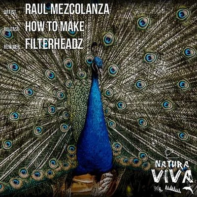 Raul Mezcolanza How To Make