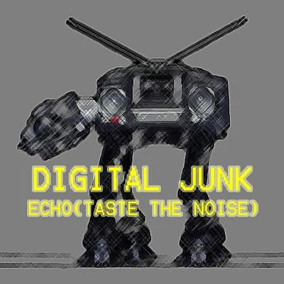 Digital Junkiez Echo (Taste the Noise)