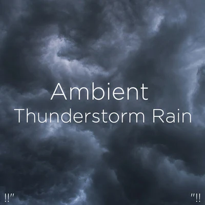 Thunderstorm Sound Bank/Thunderstorm Sleep !! Ambient Thunderstorm Rain !!