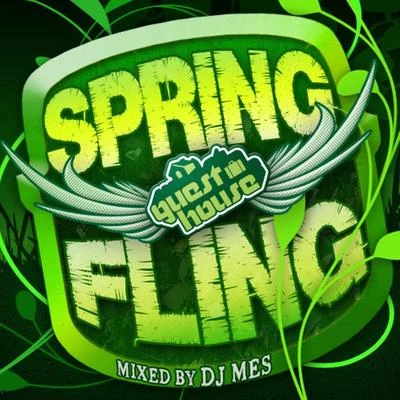 DJ Mes Spring Fling Mixed By DJ Mes