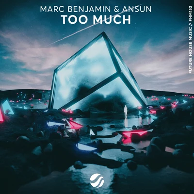 Ansun/Marc Benjamin Too Much