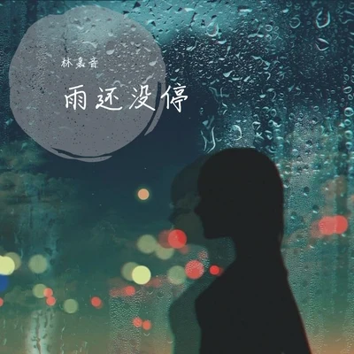 林嘉音 雨還沒停