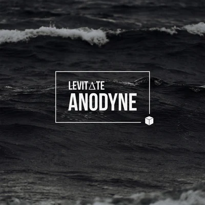 LEViT∆TE Anodyne