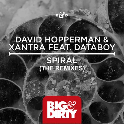 David Hopperman Spiral (The Remixes)