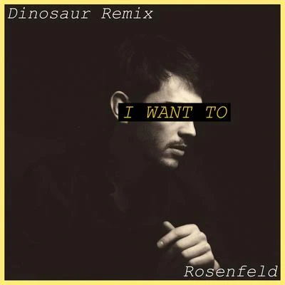 Dinosaur/Rosenfeld I Want To (Remix)