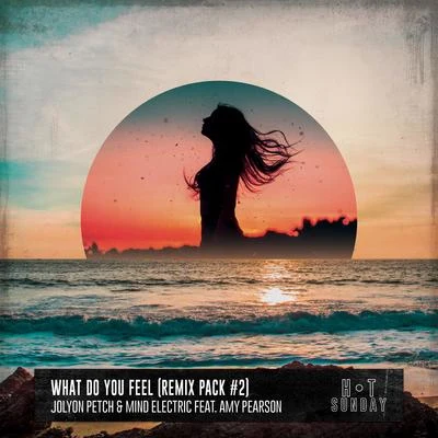 Mind Electric/Jolyon Petch What Do You Feel (feat. Amy Pearson) [Remix Pack #2]