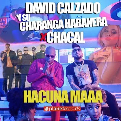 David calzado y su Charanga Habanera/El Chacal Hakuna Matata