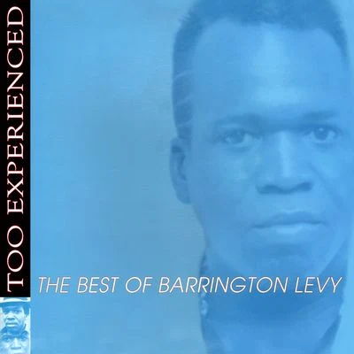 Barrington Levy Too Experienced - The Best of Barrington Levy